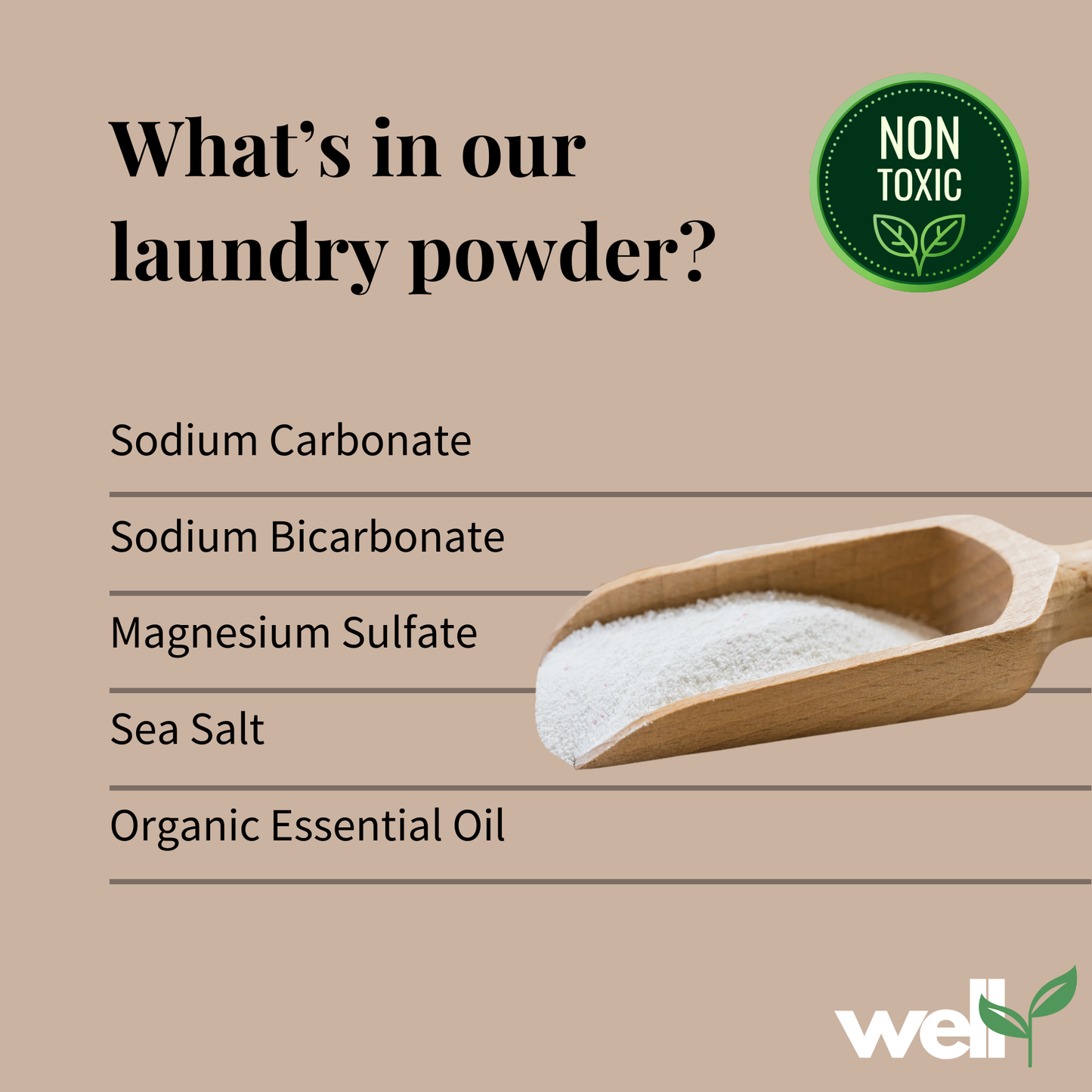 Well🌱 Lavender Non-Toxic Laundry Powder